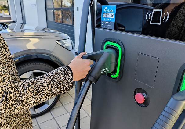 Borne de recharge électrique pour véhicule